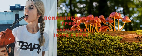 apvp Новодвинск