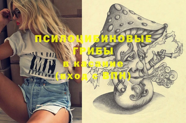 спайс Надым