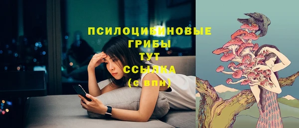 apvp Новодвинск