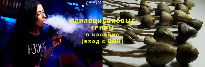 Псилоцибиновые грибы MAGIC MUSHROOMS  Белый 